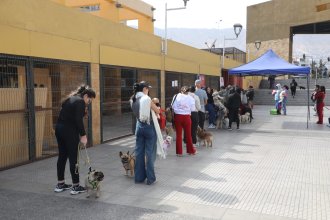 WhatsApp Image 2025-09-25 at 11.05.48 (1).jpeg